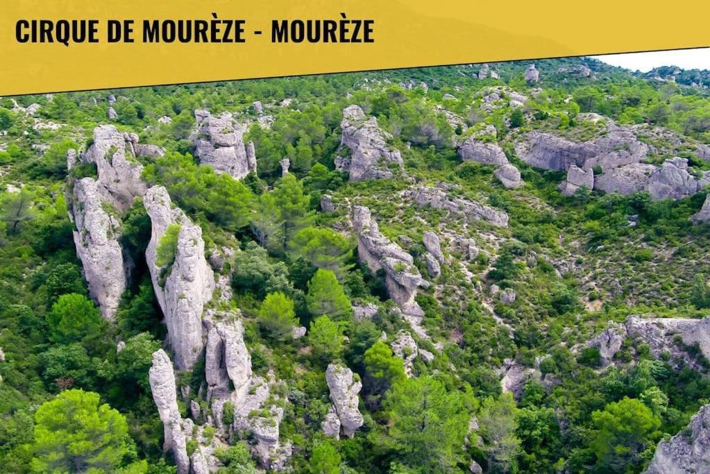 Le Moliere - Enigme Et Sauna Lägenhet Pézenas Exteriör bild